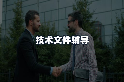 技术文件辅导