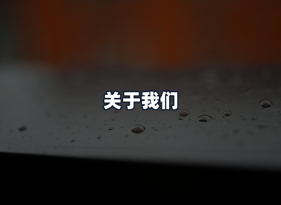 关于我们